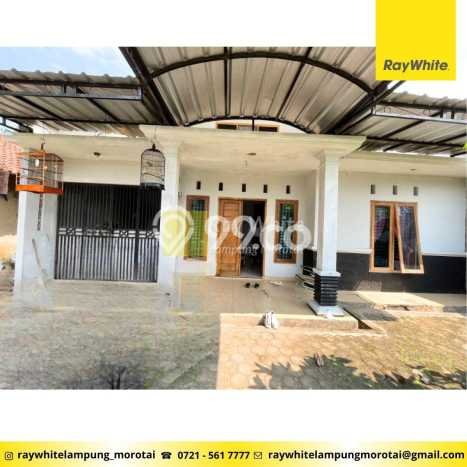 Dijual Rumah 3 Kamar Lokasi Ideal Bagus dan Strategis di Tanjung Karang Timur Dijual Rumah 3 Kamar Lokasi Ideal Bagus dan Strategis di Tanjung Karang Timur