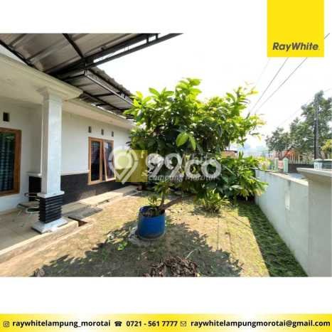 Dijual Rumah 3 Kamar Lokasi Ideal Bagus dan Strategis di Tanjung Karang Timur Dijual Rumah 3 Kamar Lokasi Ideal Bagus dan Strategis di Tanjung Karang Timur