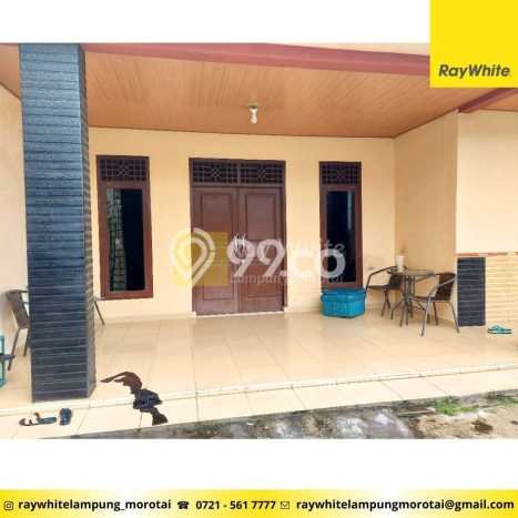 Jual Segera Rumah 3 KT 3 KM di Jantung Kota Sukarame, Bandar Lampung Jual Segera Rumah 3 KT 3 KM di Jantung Kota Sukarame, Bandar Lampung