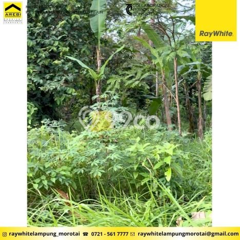 Tanah Kavling untuk Dijual di Tanjung Karang Barat Bandar Lampung 10746m2 Tanah Kavling untuk Dijual di Tanjung Karang Barat Bandar Lampung 10746m2