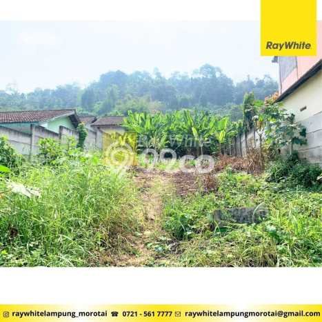 Tanah di Tanjung Karang Pusat, Bandar Lampung Luas 38949m2 Dijual Segera Tanah di Tanjung Karang Pusat, Bandar Lampung Luas 38949m2 Dijual Segera