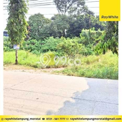 Tanah Dijual Lokasi Jati Agung, Lampung Selatan dengan Luas Tanah 46875m2 dan Status SHM Tanah Dijual Lokasi Jati Agung, Lampung Selatan dengan Luas Tanah 46875m2 dan Status SHM