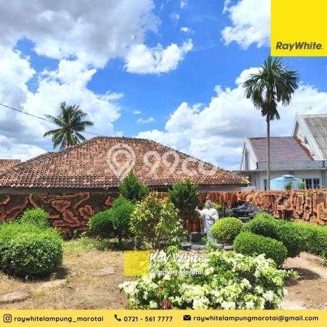Hunian Mewah Siap Huni LT 1672m2 di Kedaton, Bandar Lampung Hunian Mewah Siap Huni LT 1672m2 di Kedaton, Bandar Lampung