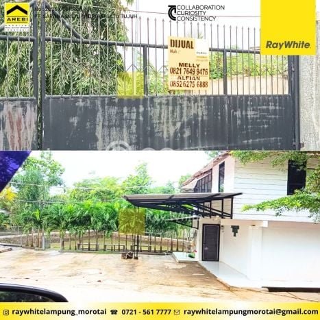 Kavling Tanah Dijual di Sidomulyo Lampung Selatan Spesifikasi 47342m2 Kavling Tanah Dijual di Sidomulyo Lampung Selatan Spesifikasi 47342m2