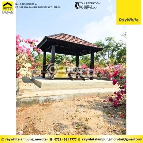 Kavling Tanah Dijual di Sidomulyo Lampung Selatan Spesifikasi 47342m2 Kavling Tanah Dijual di Sidomulyo Lampung Selatan Spesifikasi 47342m2