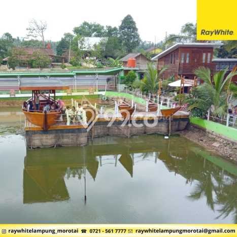 Vila Premium di Tanjung Bintang, Area 1560m2m², Akses ke Tanjung Bintang, Lampung Selatan, Lampung Selatan Vila Premium di Tanjung Bintang, Area 1560m2m², Akses ke Tanjung Bintang, Lampung Selatan, Lampung Selatan