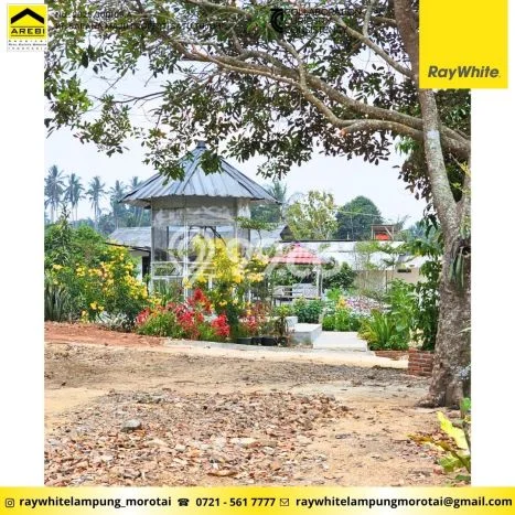 Kavling Tanah Dijual di Sidomulyo Lampung Selatan Spesifikasi 47342m2 Kavling Tanah Dijual di Sidomulyo Lampung Selatan Spesifikasi 47342m2