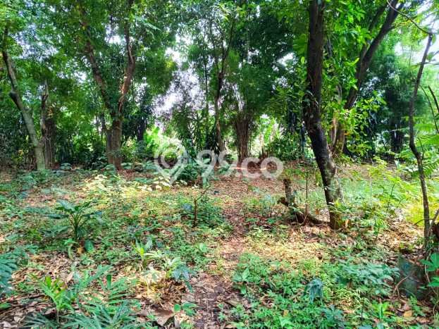 Tanah Lokasi Strategis Kawasan , Luas 3000m2m², Akses ke Fasilitas Umum, Akses Depok, Depok Tanah Lokasi Strategis Kawasan , Luas 3000m2m², Akses ke Fasilitas Umum, Akses Depok, Depok