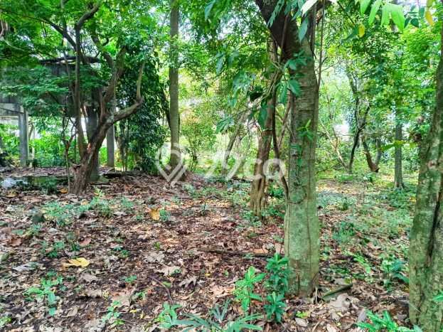 Tanah Lokasi Strategis Kawasan , Luas 3000m2m², Akses ke Fasilitas Umum, Akses Depok, Depok Tanah Lokasi Strategis Kawasan , Luas 3000m2m², Akses ke Fasilitas Umum, Akses Depok, Depok