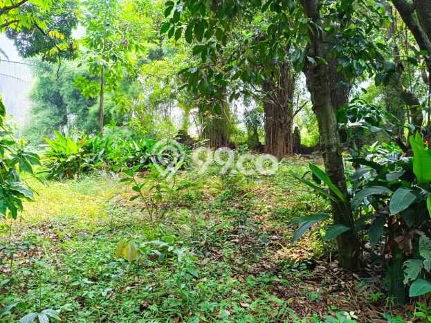 Tanah Lokasi Strategis Kawasan , Luas 3000m2m², Akses ke Fasilitas Umum, Akses Depok, Depok Tanah Lokasi Strategis Kawasan , Luas 3000m2m², Akses ke Fasilitas Umum, Akses Depok, Depok
