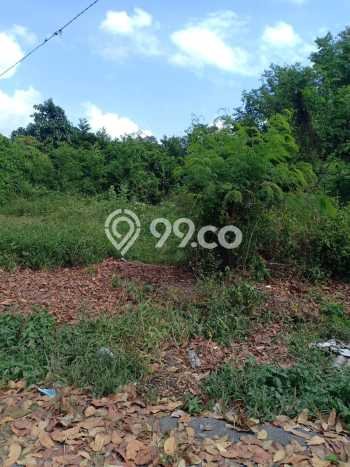 PRIME LOCATION! Tanah di Ketewel, Luas 1200m², Ideal untuk Investasi PRIME LOCATION! Tanah di Ketewel, Luas 1200m², Ideal untuk Investasi