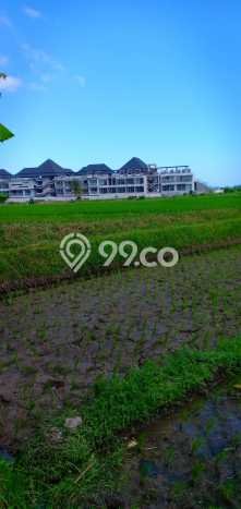 Tanah Kavling Dijual di Pangkutibah, Tabanan dengan Luas Tanah 1790m2 Tanah Kavling Dijual di Pangkutibah, Tabanan dengan Luas Tanah 1790m2