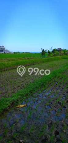 Tanah Kavling Dijual di Pangkutibah, Tabanan dengan Luas Tanah 1790m2 Tanah Kavling Dijual di Pangkutibah, Tabanan dengan Luas Tanah 1790m2