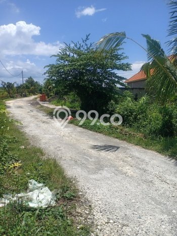 For Rent Tanah Kawasan Canggu, Luas 300m², Jalan Bagus, Area Premium For Rent Tanah Kawasan Canggu, Luas 300m², Jalan Bagus, Area Premium