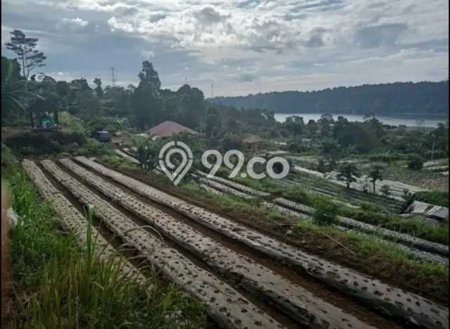 Dijual Tanah 3500m2 di Bedugul, Tabanan Dijual Tanah 3500m2 di Bedugul, Tabanan