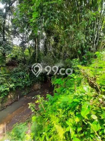 Lahan untuk Dijual Lokasi Ubud, Gianyar Luas 3820m2 SHM Lahan untuk Dijual Lokasi Ubud, Gianyar Luas 3820m2 SHM