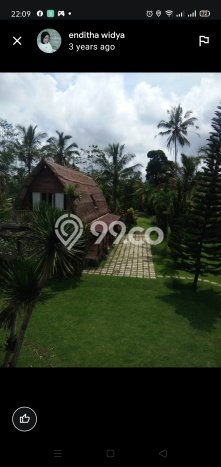 Lahan untuk Dijual Lokasi Tegallalang, Gianyar Luas 3650m2 SHM Lahan untuk Dijual Lokasi Tegallalang, Gianyar Luas 3650m2 SHM