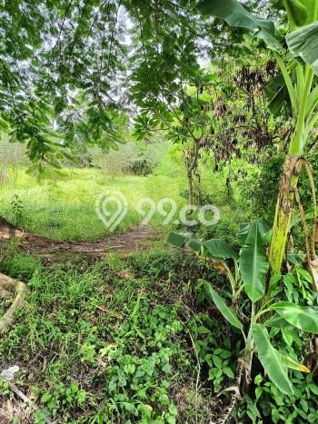 Tanah Kavling Dijual di Gianyar dengan Spesifikasi 4018m2 Tanah Kavling Dijual di Gianyar dengan Spesifikasi 4018m2