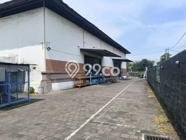 Unit Komersial Disewakan di Denpasar Area Strategis Harga Kompetitif Unit Komersial Disewakan di Denpasar Area Strategis Harga Kompetitif