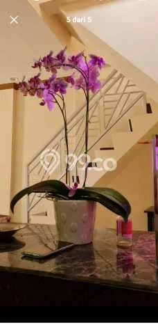 Dijual Cepat Rumah Bagus Siap Huni LB 74m2 di Tamalanrea, Makassar Dijual Cepat Rumah Bagus Siap Huni LB 74m2 di Tamalanrea, Makassar