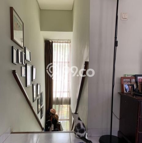 Hunian Nyaman Asri 3 KT Siap Huni di Sektor 9-Bintaro Tangerang Selatan Hunian Nyaman Asri 3 KT Siap Huni di Sektor 9-Bintaro Tangerang Selatan