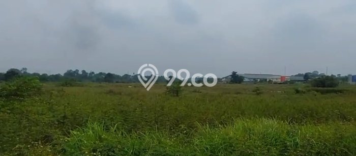 Kavling Tanah di Cikupa Dijual Luas 1.6e+06m2 Legalitas SHM Kavling Tanah di Cikupa Dijual Luas 1.6e+06m2 Legalitas SHM