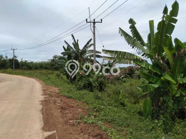 Kavling Tanah Dijual di Maja, Lebak, Luas 110000m2 Area Strategis Kavling Tanah Dijual di Maja, Lebak, Luas 110000m2 Area Strategis