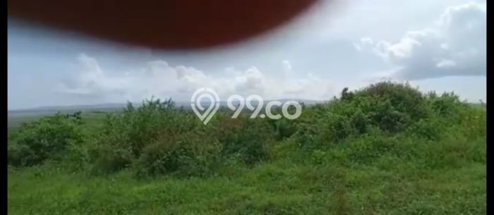 Untuk Dijual Tanah di Pandeglang Pandeglang Luas 1.5e+06m2 SHM Untuk Dijual Tanah di Pandeglang Pandeglang Luas 1.5e+06m2 SHM
