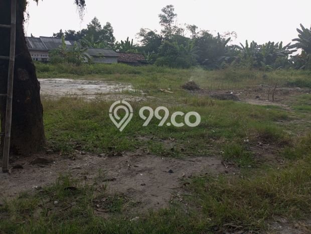 Kavling Tanah Dijual di Jawilan, Serang, Luas 500000m2 Area Strategis Kavling Tanah Dijual di Jawilan, Serang, Luas 500000m2 Area Strategis