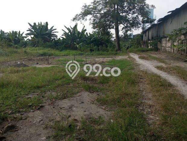 Kavling Tanah Dijual di Jawilan, Serang, Luas 500000m2 Area Strategis Kavling Tanah Dijual di Jawilan, Serang, Luas 500000m2 Area Strategis