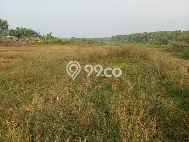 Tanah Kavling di Jawilan Dijual dengan Luas 100000m2 Tanah Kavling di Jawilan Dijual dengan Luas 100000m2