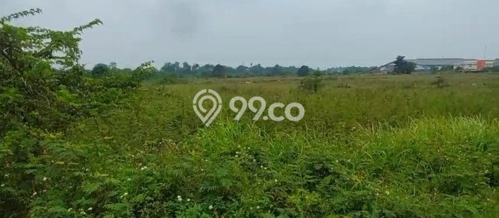 Kavling Tanah di Cikupa Dijual Luas 1.6e+06m2 Legalitas SHM Kavling Tanah di Cikupa Dijual Luas 1.6e+06m2 Legalitas SHM