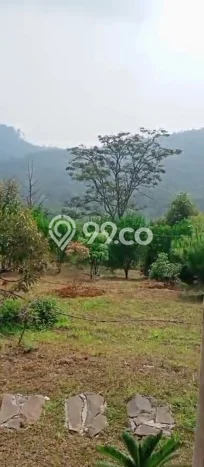Kavling Tanah Dijual di Cijambe Subang Spesifikasi 1.7e+06m2 Kavling Tanah Dijual di Cijambe Subang Spesifikasi 1.7e+06m2