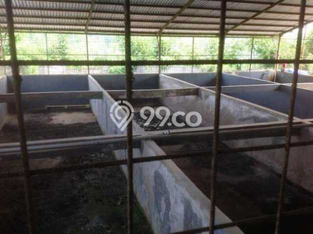 Gudang Dijual di Parung LT 27000m2, LB 6000m2 Solusi Investasi Cerdas Gudang Dijual di Parung LT 27000m2, LB 6000m2 Solusi Investasi Cerdas