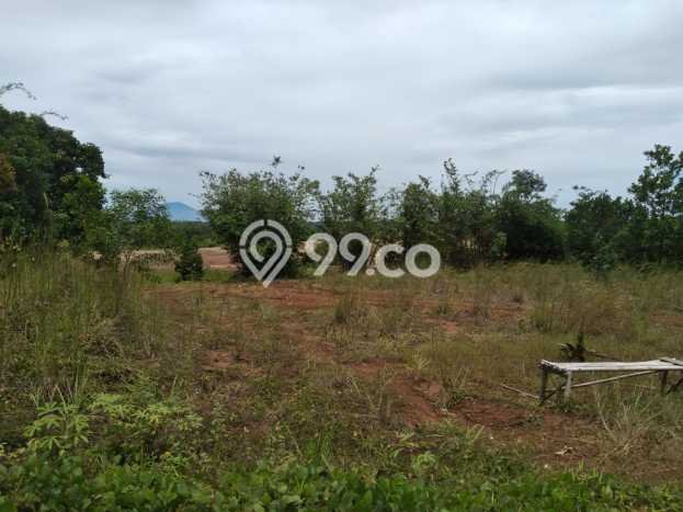 Kavling Tanah Dijual di Maja, Lebak, Luas 110000m2 Area Strategis Kavling Tanah Dijual di Maja, Lebak, Luas 110000m2 Area Strategis