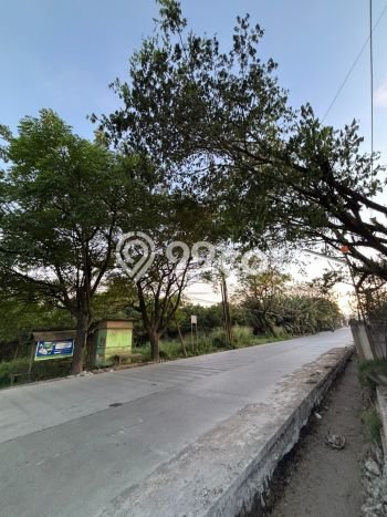 Untuk Dijual Tanah di Parung Panjang Bogor Luas 5000m2 SHM Untuk Dijual Tanah di Parung Panjang Bogor Luas 5000m2 SHM