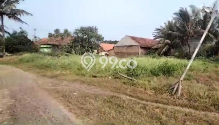 Jarang Ada! Tanah di Kronjo Punya Luas 1.75e+06m2 SHM Jarang Ada! Tanah di Kronjo Punya Luas 1.75e+06m2 SHM