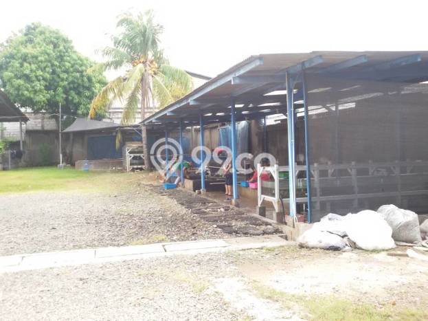 Gudang Bagus Dijual di Kalideres Jakarta Barat Lokasi Strategis Cocok untuk Kembangkan Bisnis Gudang Bagus Dijual di Kalideres Jakarta Barat Lokasi Strategis Cocok untuk Kembangkan Bisnis