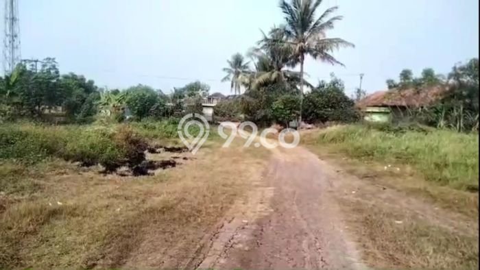 Jarang Ada! Tanah di Kronjo Punya Luas 1.75e+06m2 SHM Jarang Ada! Tanah di Kronjo Punya Luas 1.75e+06m2 SHM