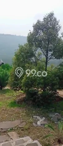 Kavling Tanah Dijual di Cijambe Subang Spesifikasi 1.7e+06m2 Kavling Tanah Dijual di Cijambe Subang Spesifikasi 1.7e+06m2