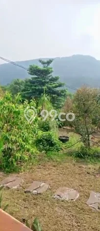 Kavling Tanah Dijual di Cijambe Subang Spesifikasi 1.7e+06m2 Kavling Tanah Dijual di Cijambe Subang Spesifikasi 1.7e+06m2