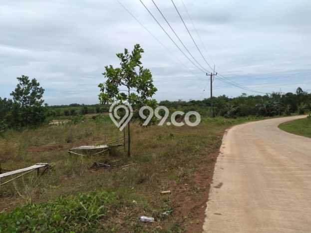 Kavling Tanah Dijual di Maja, Lebak, Luas 110000m2 Area Strategis Kavling Tanah Dijual di Maja, Lebak, Luas 110000m2 Area Strategis