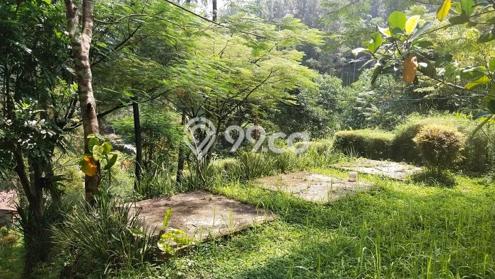 Unit Komersial Dijual di Coblong Bandung Luas Tanah 3700m2, Luas Bangunan 500m2 Unit Komersial Dijual di Coblong Bandung Luas Tanah 3700m2, Luas Bangunan 500m2