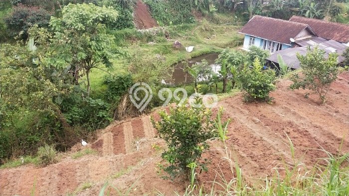 Jual Tanah Lokasi Prima di Pangalengan, Luas 756m2m², Akses Pangalengan, Bandung, Bandung Jual Tanah Lokasi Prima di Pangalengan, Luas 756m2m², Akses Pangalengan, Bandung, Bandung