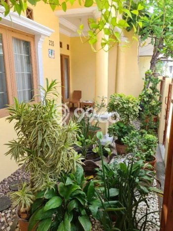 Rumah Luas Asri 2 KT Siap Huni di Bekasi Bekasi Rumah Luas Asri 2 KT Siap Huni di Bekasi Bekasi