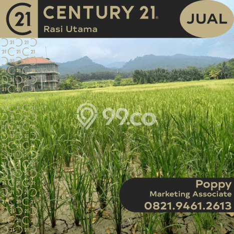 Dijual Tanah di Carita Pandeglang Luas 30000m2 SHM Dijual Tanah di Carita Pandeglang Luas 30000m2 SHM