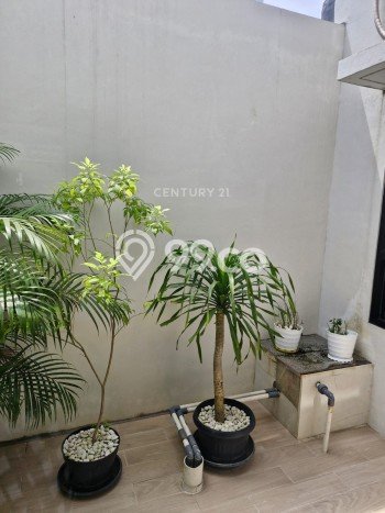 Rumah Modern Cantik 3 KT Siap Huni di Cileungsi Rumah Modern Cantik 3 KT Siap Huni di Cileungsi