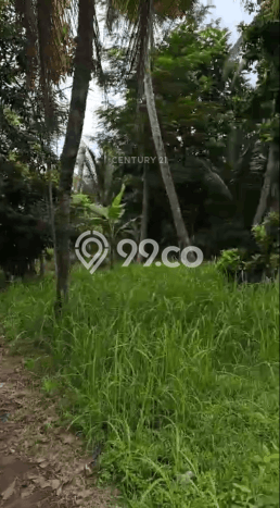 Dijual Tanah di Carita Pandeglang Luas 30000m2 SHM Dijual Tanah di Carita Pandeglang Luas 30000m2 SHM