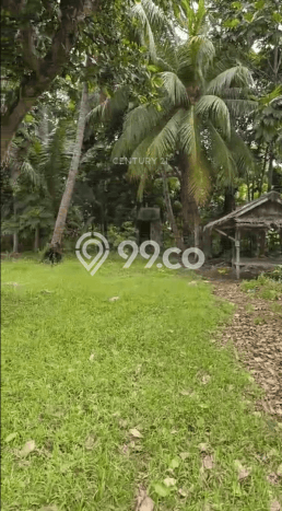 Dijual Tanah di Carita Pandeglang Luas 30000m2 SHM Dijual Tanah di Carita Pandeglang Luas 30000m2 SHM