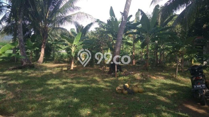 Dijual Tanah di Carita Pandeglang Luas 30000m2 SHM Dijual Tanah di Carita Pandeglang Luas 30000m2 SHM